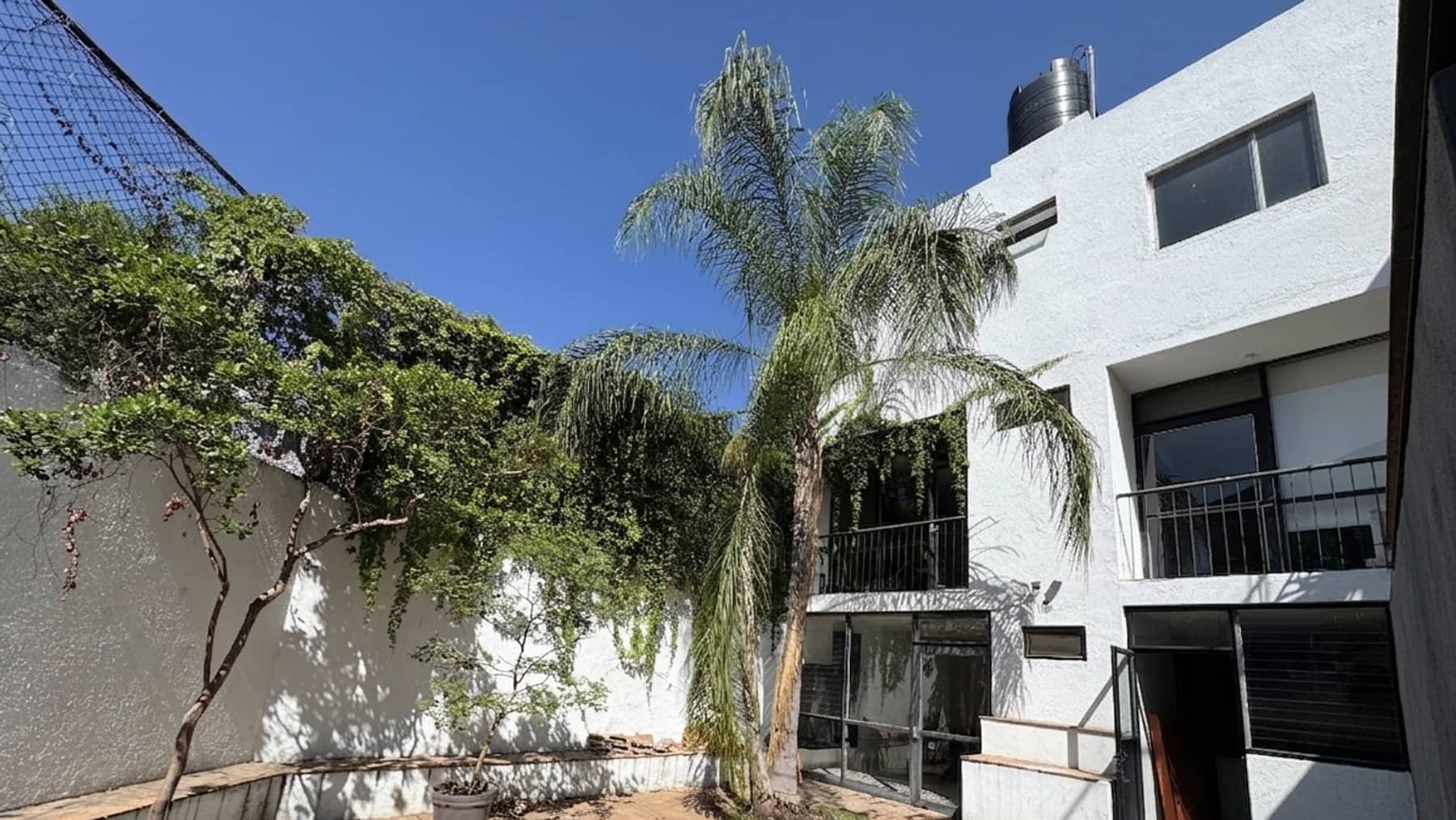 Patio interior con vegetación y fachada blanca de la casa empresarial LORENZANA 781 en Jardines del Bosque, Guadalajara